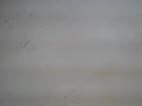 shantalfucker_ webcam