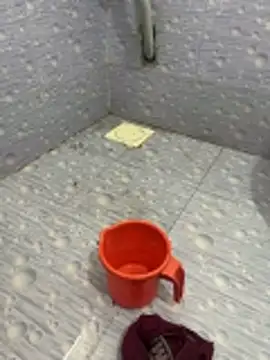 NoddingScorpion webcam