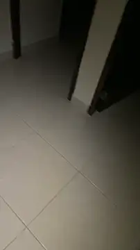 TipsteryRoyal webcam