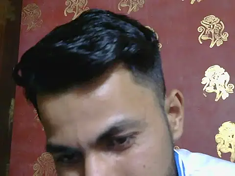 Stubborndesiboy webcam