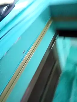 Mantlinggymnast001 webcam