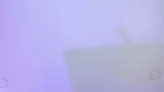 MarcoAndAllice webcam