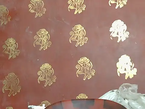 Stubborndesiboy webcam