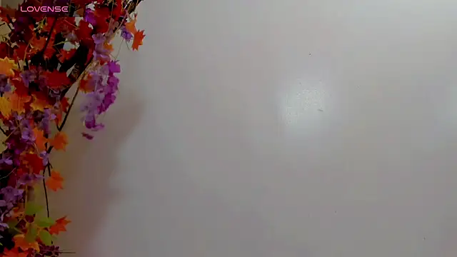 britanny_noroeste webcam