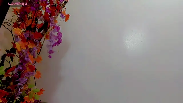 britanny_noroeste webcam