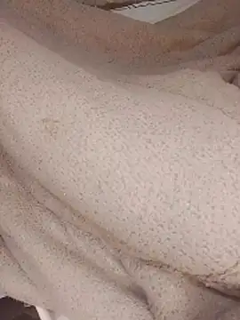 ndivhuwomuleya webcam