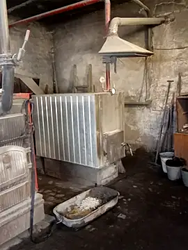 _uncle_Mitya-43_ webcam