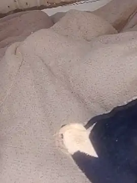 ndivhuwomuleya webcam