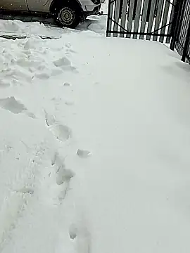 _uncle_Mitya-43_ webcam