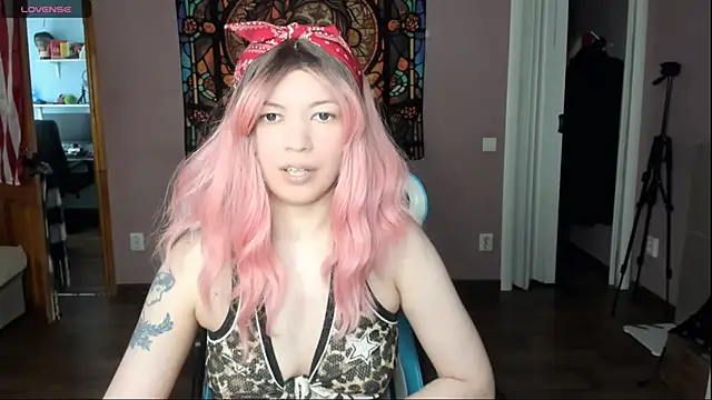 Project_hisoka webcam