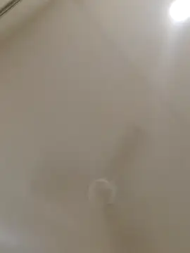 smallthickdick115 live sex cam