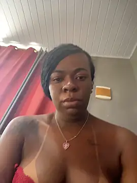 Priihmedeiros webcam