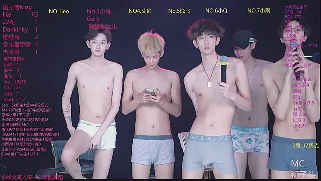 AAA-winner webcam