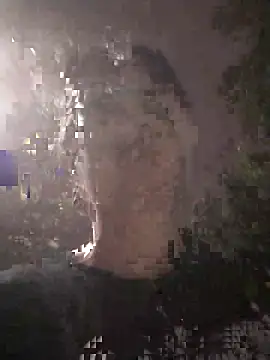 Saryloveparadise webcam