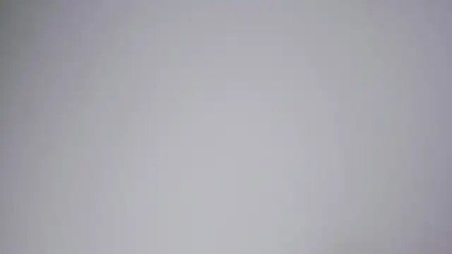 game_with_lesbians_ webcam