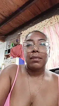 ChanneldelaCroix webcam