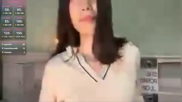 UpdatedRectus webcam