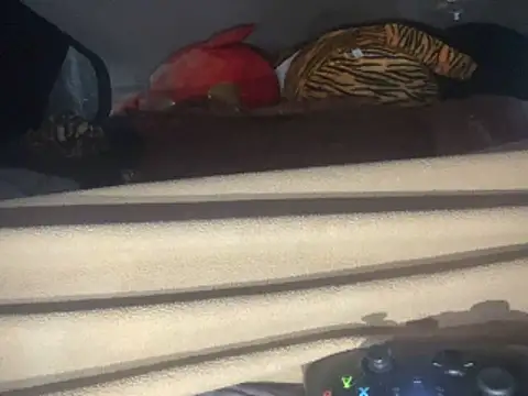 SlimeCrownzOut5 webcam