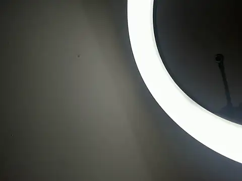 bigger_ragnarsson webcam