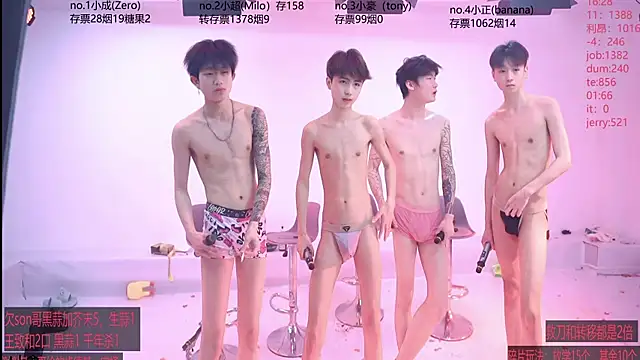 Woshididimen- webcam