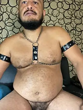 the_master_foal_ webcam