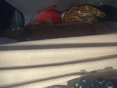 SlimeCrownzOut5 webcam