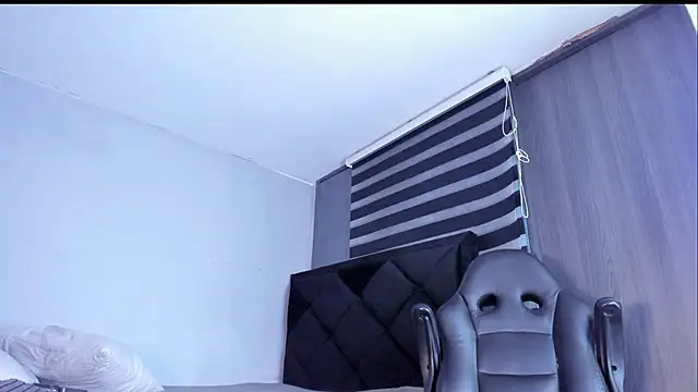 Dancelwashington webcam