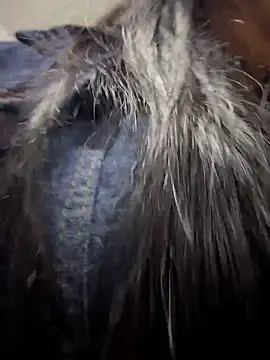 _Mia-Safety_Inspector webcam