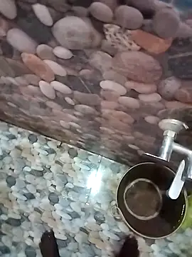 tamilpaiyan989 webcam