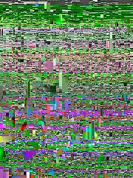 kyaren_JP_kyaren webcam