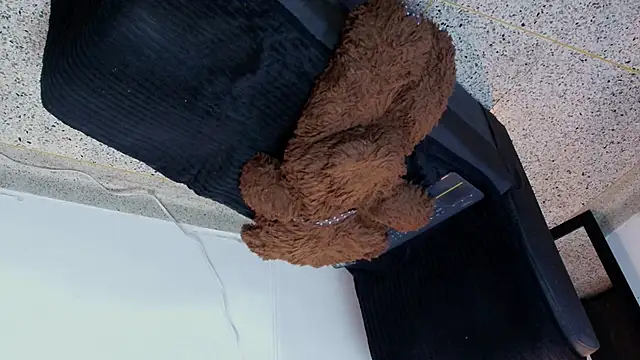 max_ashley_mds webcam