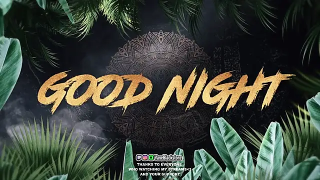 VaneBlackstone webcam