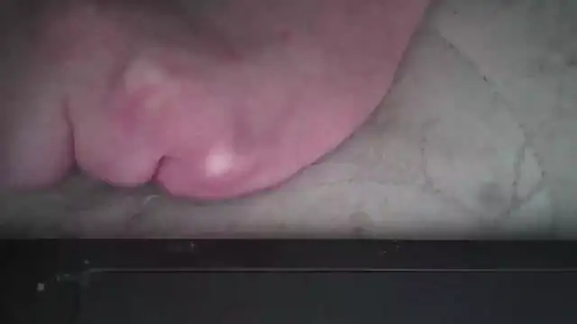 occasionalride1 webcam