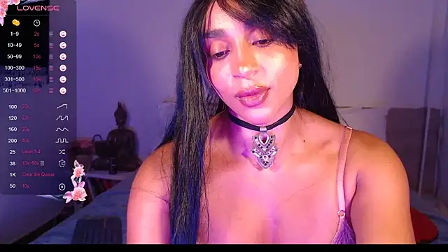 destinne_mill_ webcam