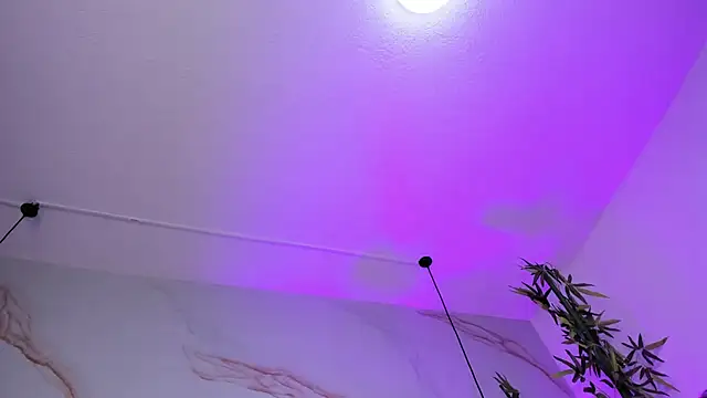 Ibbie_drastic webcam