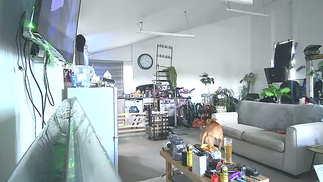 BIG_CHOPPA_747 webcam