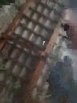 TwardyKierowca webcam