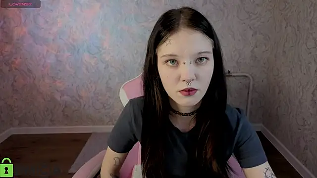 Lina-XD webcam