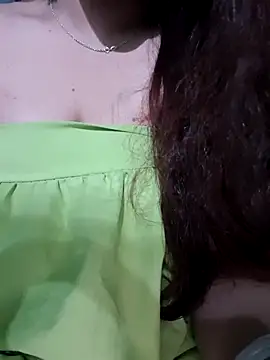 Linksys_nicee webcam