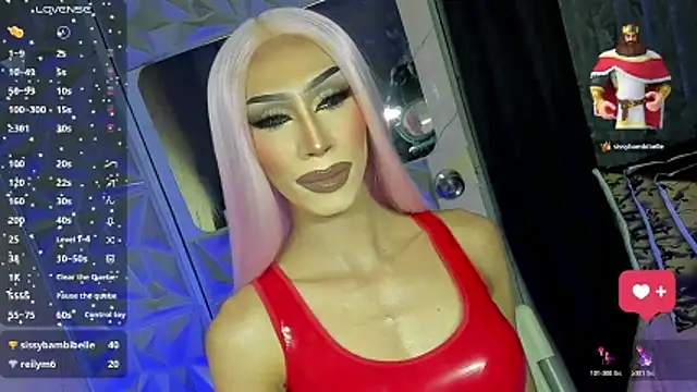 Afbeelding van anitacruise