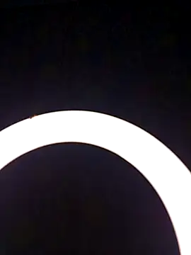 SlBrownCopule webcam