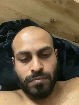 islandvybee55 webcam