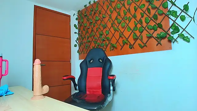 BeatrizSchmidt webcam