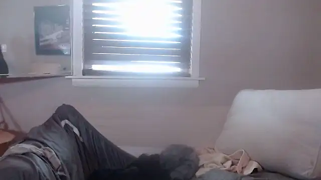 studlyhardwoodd webcam