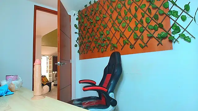 BeatrizSchmidt webcam