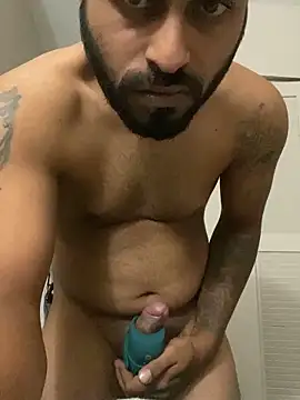 islandvybee55 webcam