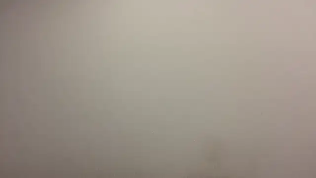 TanjaBrounson webcam