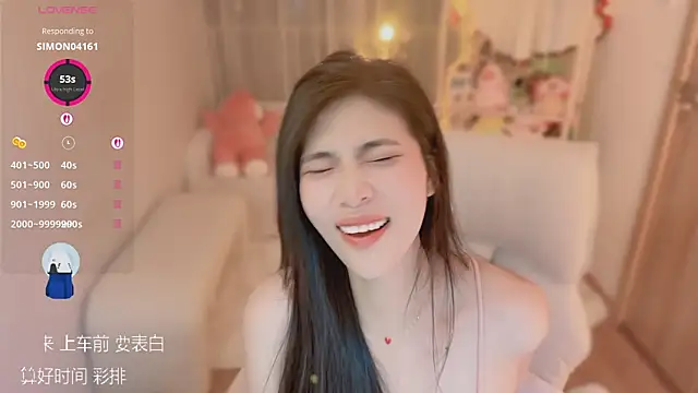 Vaidurya-Yolo webcam