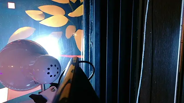 Stefany_PiInk webcam