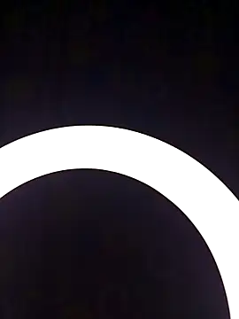 SlBrownCopule webcam